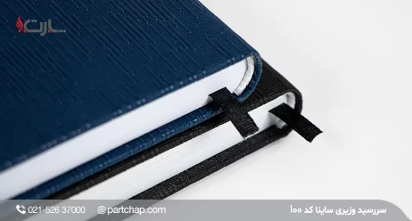 Saina Ministerial Diary, Code 100 - Image 4