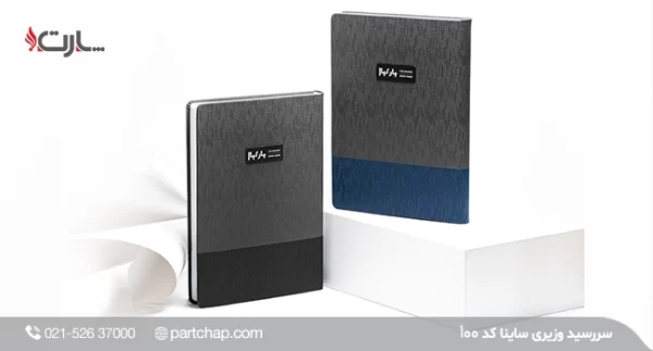 Saina Ministerial Diary, Code 100