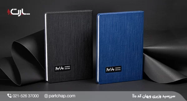 Vihan Ministerial Diary, Code 110