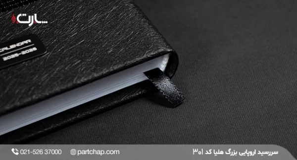 Helia European Diary Model 301 - Image 3