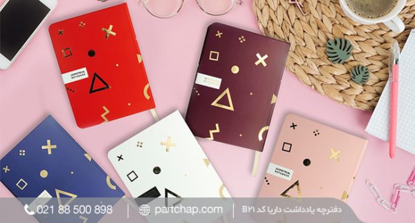 Daria Notebook Code B21