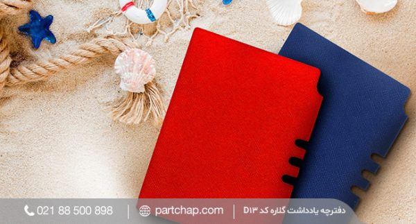 Gelareh Notebook Code D13