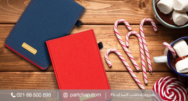 Golsa Notebook Code F11
