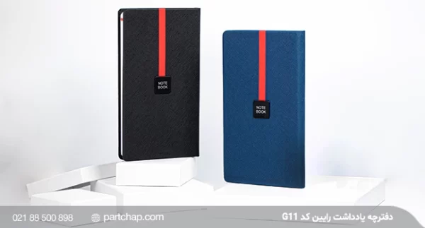 Raeen Notebook Code G11
